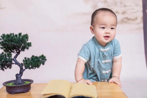 迪庆可爱的企鹅宝宝